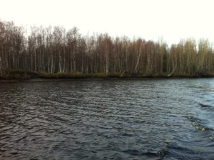 Река Куя  осенью
